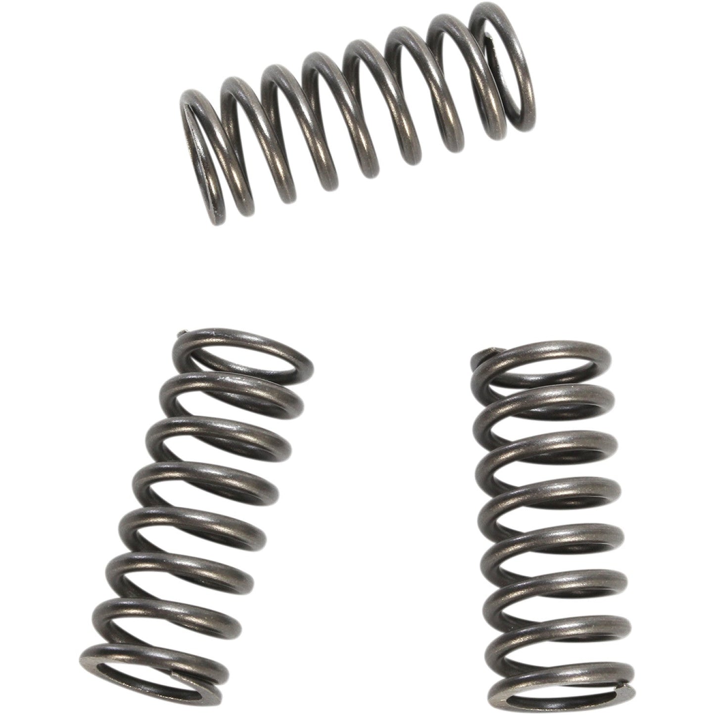 EBC Clutch Springs CSK218 | Clutch Plates & Springs