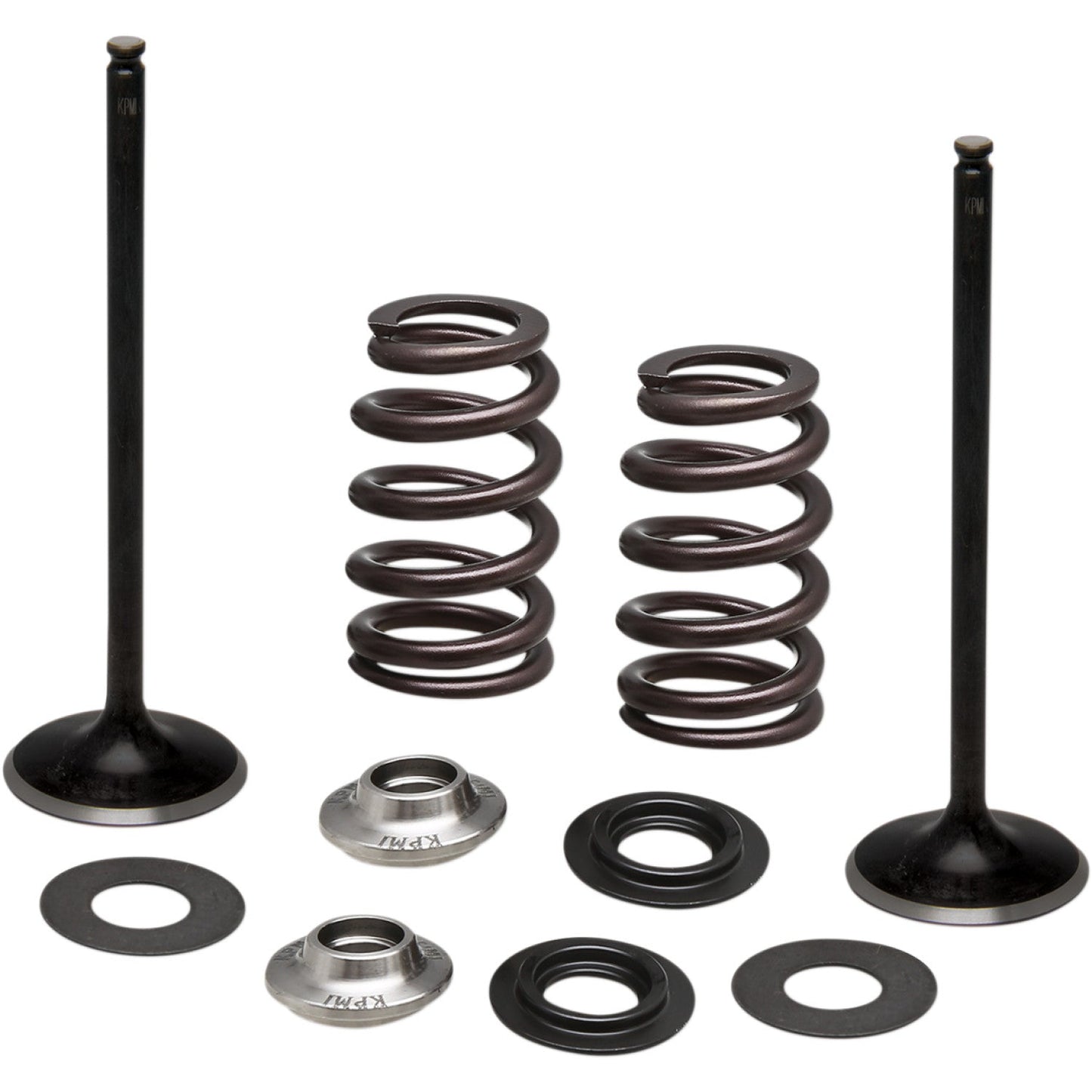 KIBBLEWHITE Spring Kit - Intake Only 96-96540