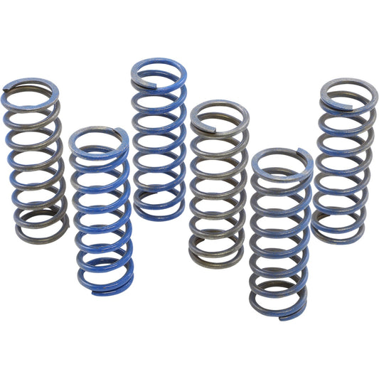 HINSON RACING Spring Kit CS130-6-8602 by Hinson Racing Clutch Plates & Springs