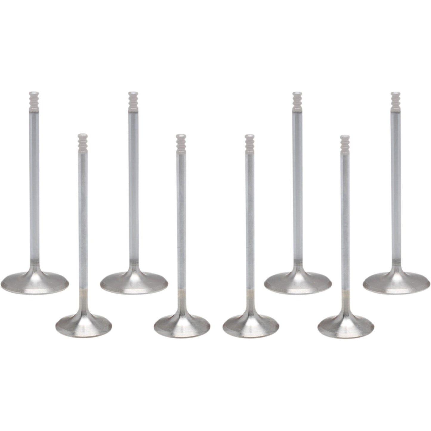 KIBBLEWHITE Valve Kit - M8 20-23300
