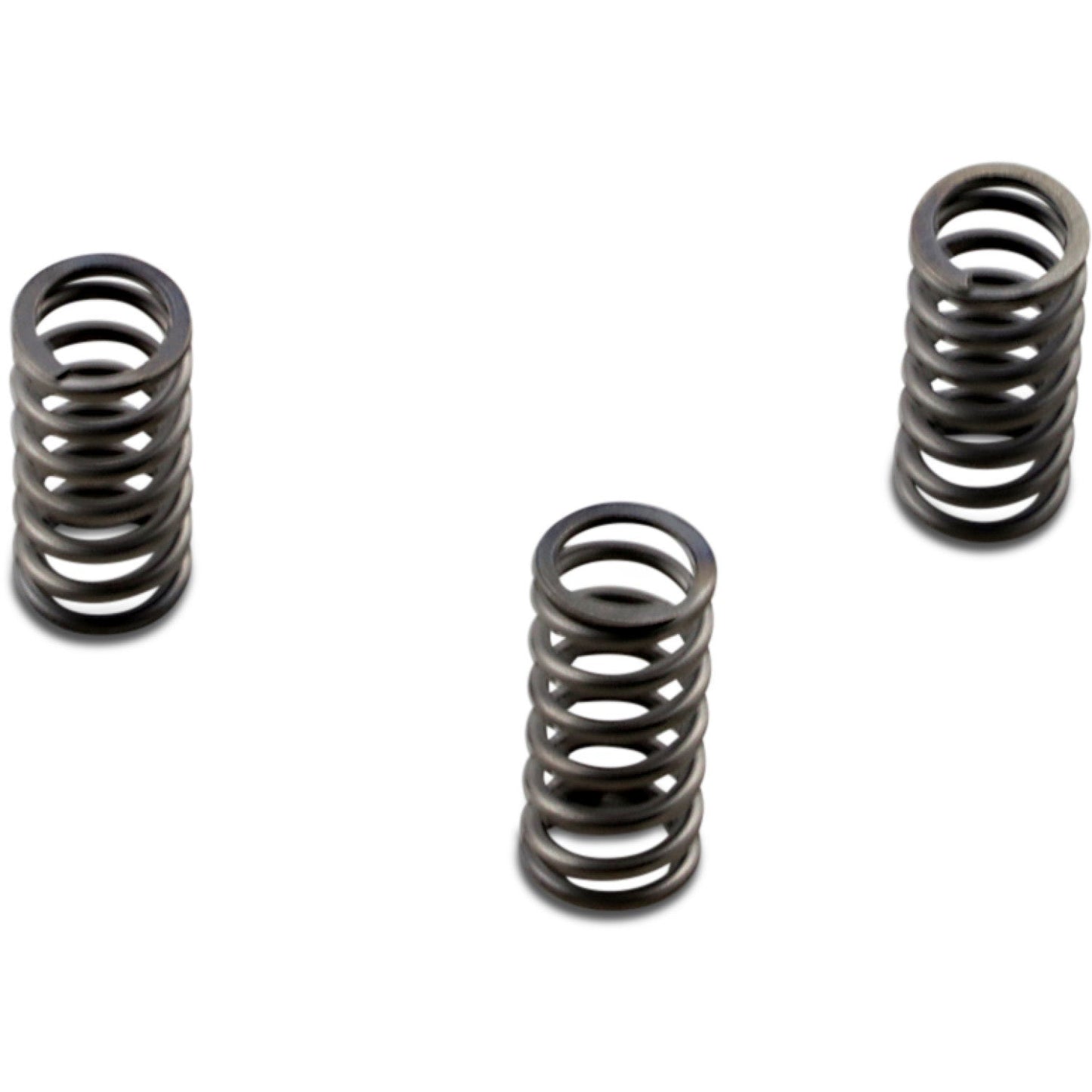 EBC Clutch Springs CSK235 | Clutch Plates & Springs