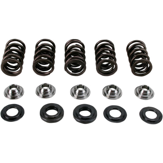 Hot Cams Valve Spring Kit - Yamaha YFM660R Raptor SKYFM660S2 | Hot Cams | Valves & Parts