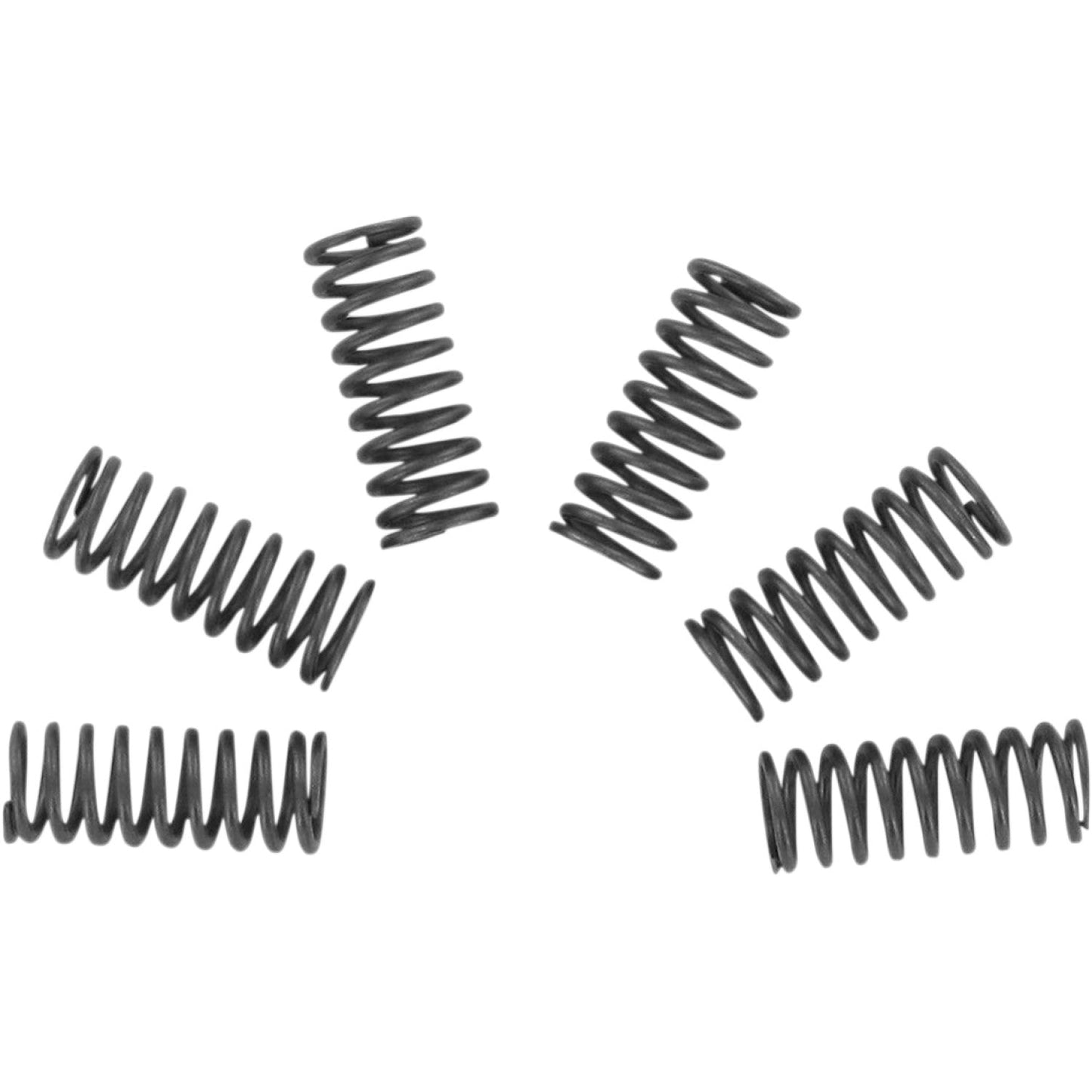 EBC Clutch Springs CSK32 | Clutch Com PO Nent Parts