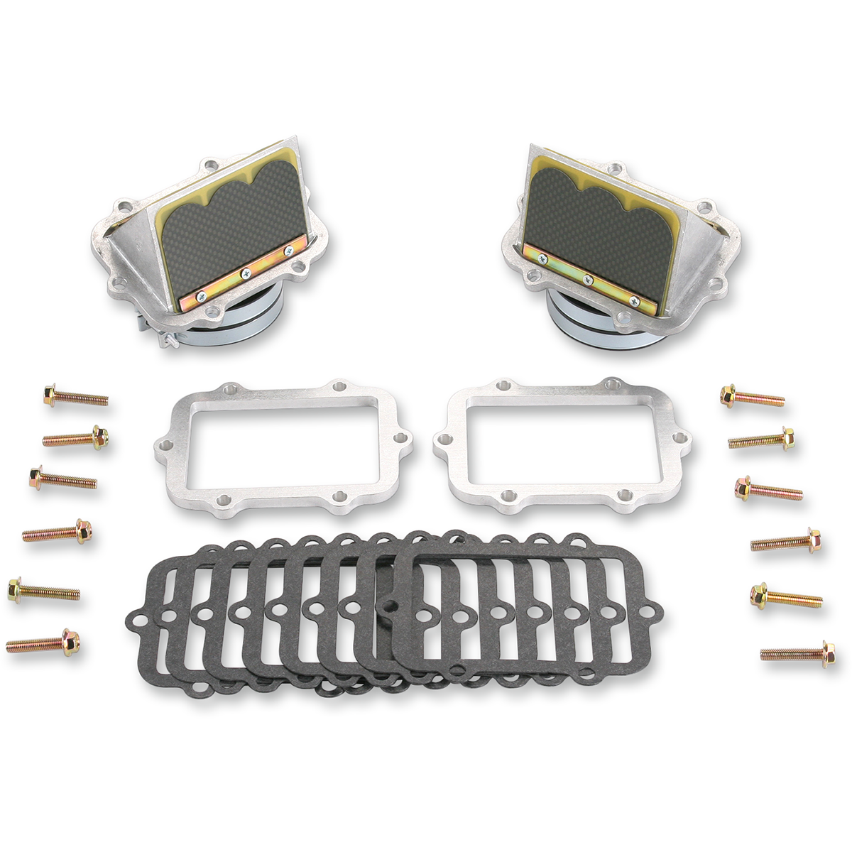 Boyesen Rage Cage Kit - Ski-Doo RAD86A-2