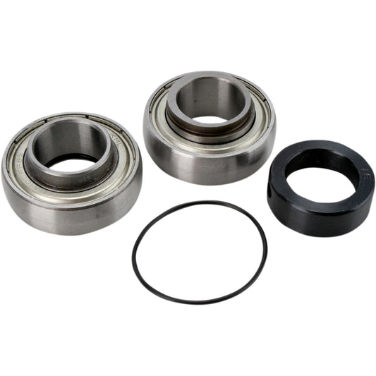 All Balls Chain Case Bearing and Seal Kit 14-1046
