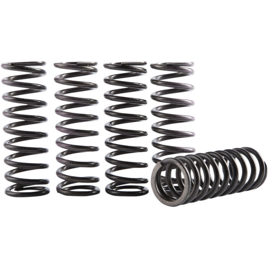 HINSON RACING Clutch Spring Kit CS069-5-001 by Hinson Racing Clutch Plates & Springs
