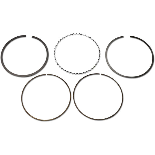 Athena Piston Ring Set S41316062 | Rings Only