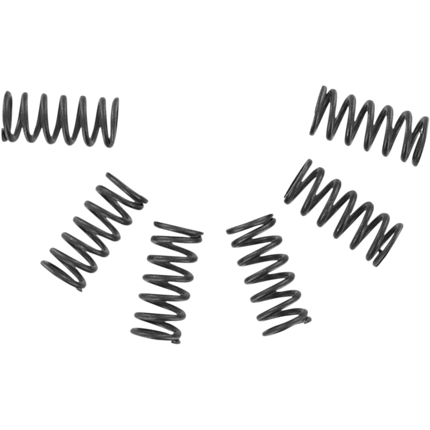EBC Clutch Springs CSK2 | Clutch Com PO Nent Parts