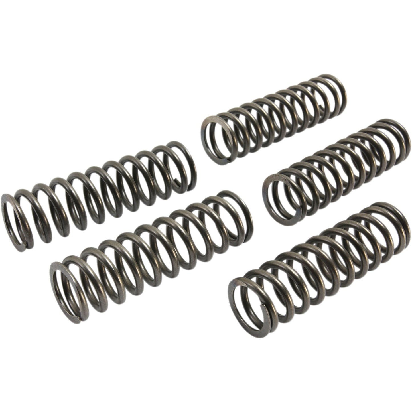 EBC Clutch Springs CSK223 | Clutch Plates & Springs