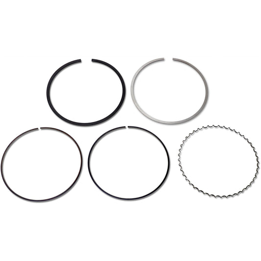 Athena Piston Ring Set S41316030 | Rings Only