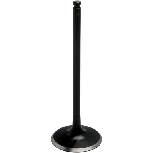 Kibblewhite Intake Valve 80-81313 | Valves & Parts | Kibblewhite