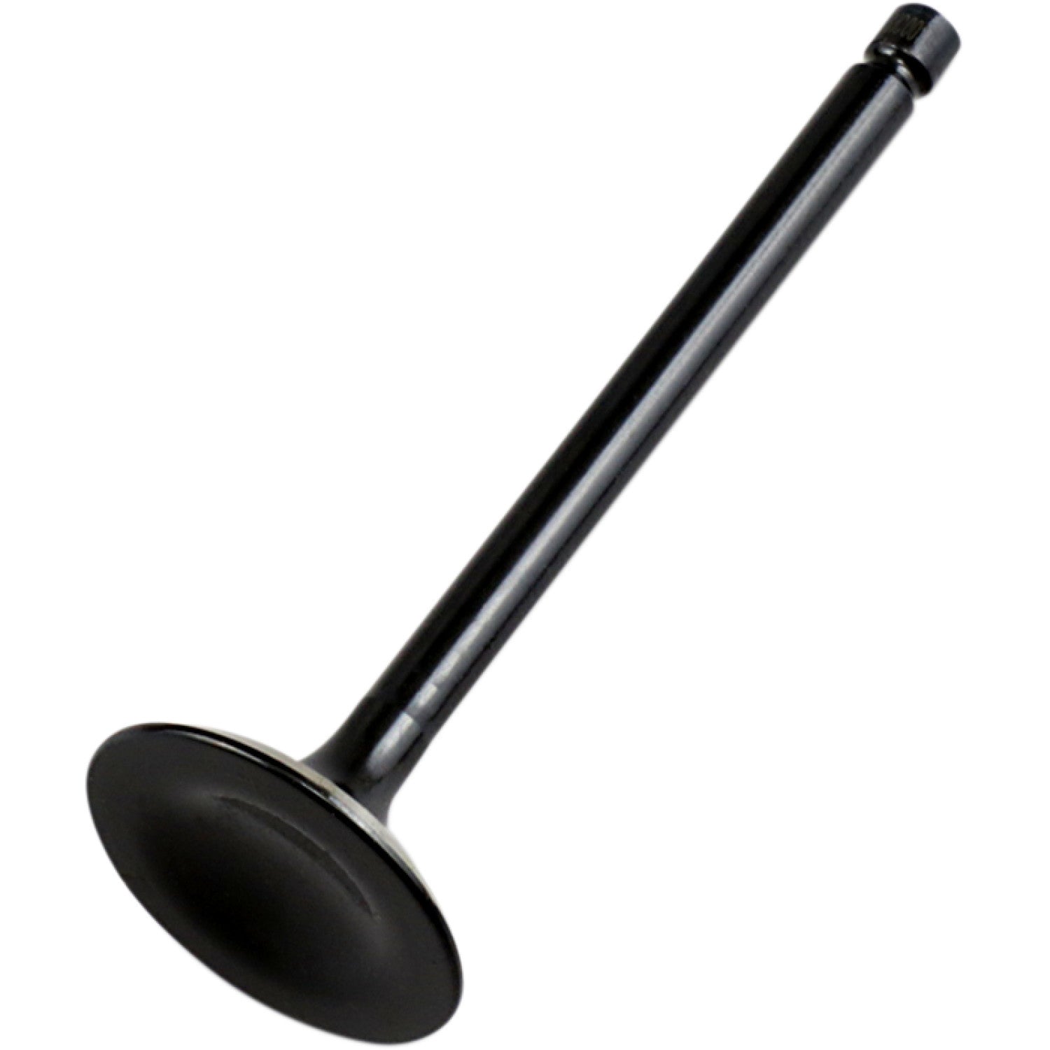 Hot Cams Exhaust Valve - Steel - Polaris HC00037 | Hot Cams | Valves & Parts
