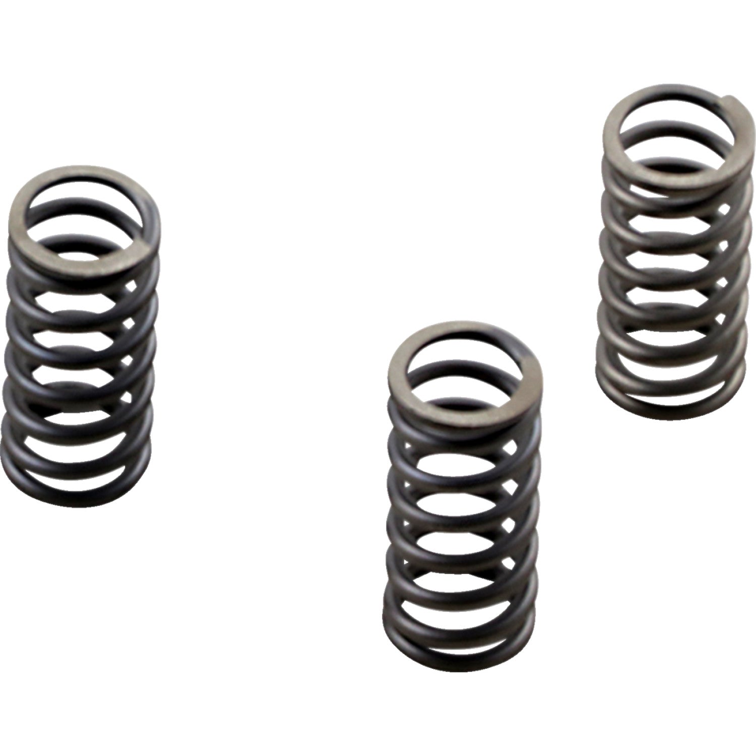 EBC Clutch Springs - M8 CSK236 | Clutch Plates & Springs