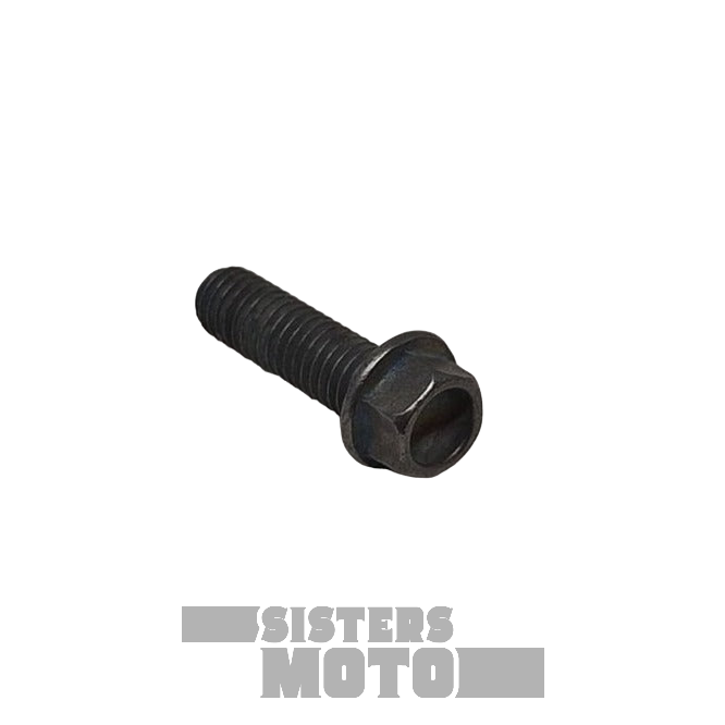 Sherco Enduro Screw Th Ep 4.5 End | Oem/Spare Parts Usa