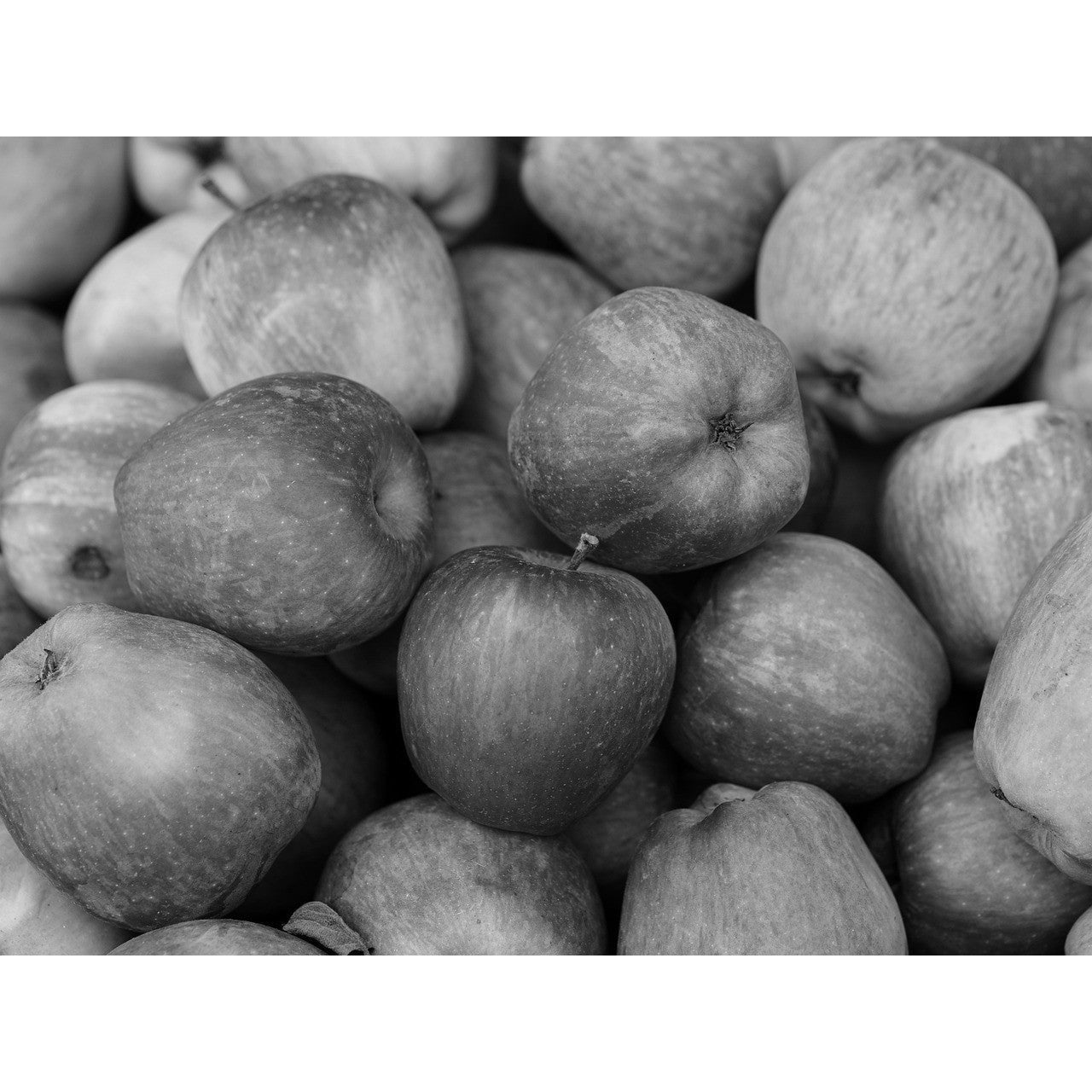 TEST - 11