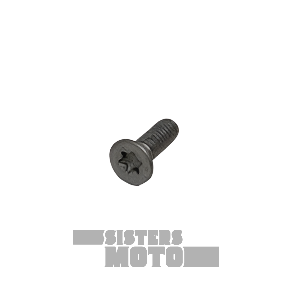 Sherco Cover Screw